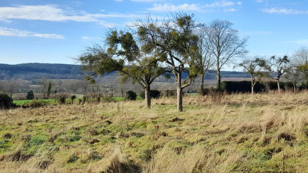Gîte Cottage chaleureux en pleine campagne vue sur les Monts et Forêts et le château de Carrouges Exterior foto