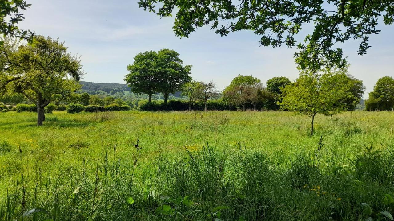 Gîte Cottage chaleureux en pleine campagne vue sur les Monts et Forêts et le château de Carrouges Exterior foto